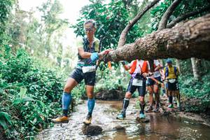 BIB: 
                            <button type="button" onclick="openModal(25374245)" class="btn btn-primary btn-sm float-right btn-popup" data-toggle="modal" data-target=".modal-high-quality">
                        <i class="fas fa-shopping-cart"></i> Add to Cart
                    </button>
                                            <button type="button" onclick="isThisMe(25374245, true)" class="btn btn-success btn-sm float-right btn-popup btn-isme hidden" data-toggle="tooltip" data-placement="bottom" title="นี่คือรูปของคุณใช่ไหม คลิกที่นี่เพื่อเอาเข้าอัลบั้ม">
                        <i class="fas fa-plus"></i> Add to album
                    </button>
                    <button type="button" onclick="isThisMe(25374245, false)" class="btn btn-warning btn-sm float-right btn-popup btn-isnotme hidden">
                        <i class="fas fa-ban"></i> Remove from album
                    </button>